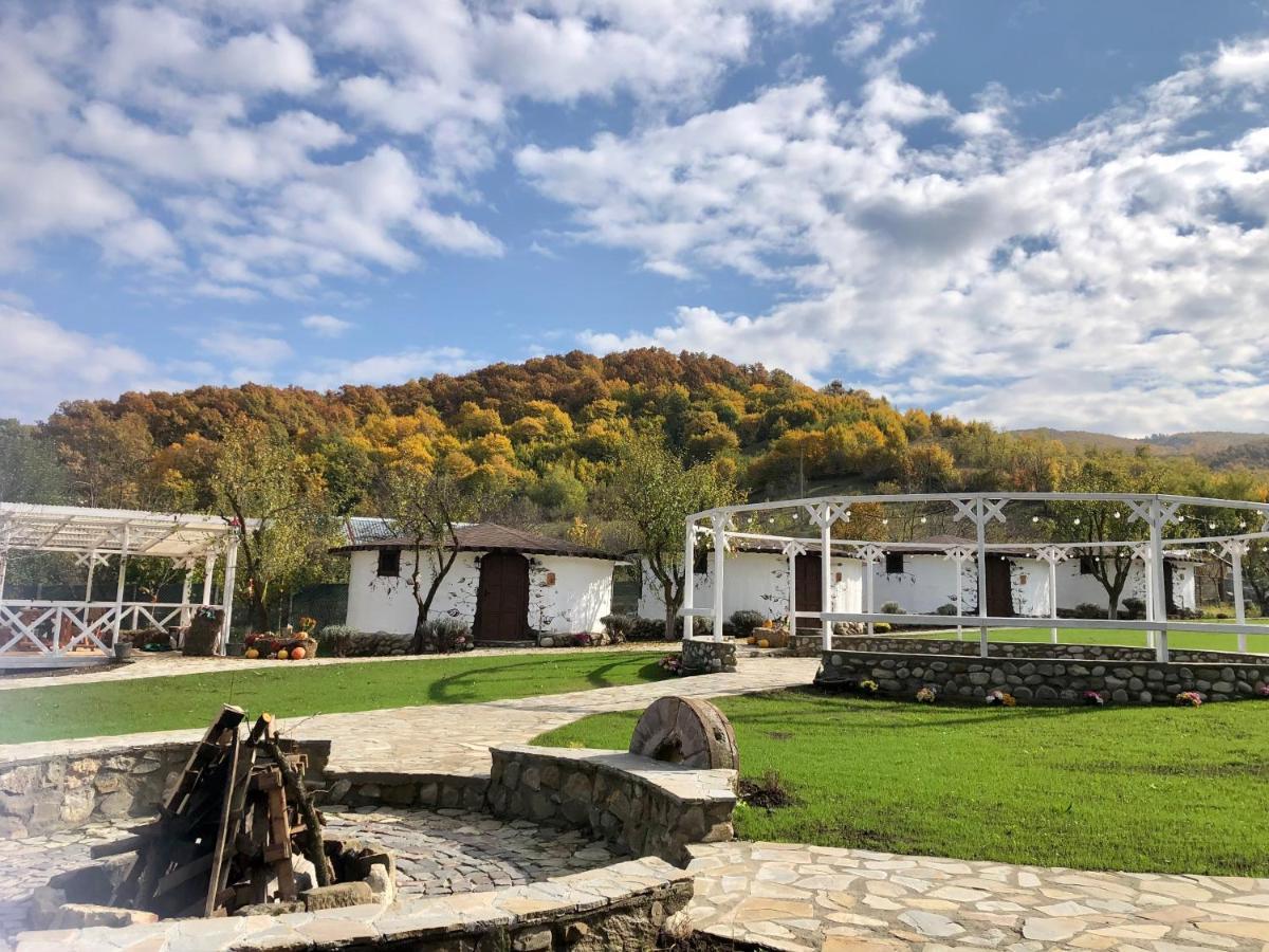 Satul Cu Flori Hotel Бузау Екстериор снимка