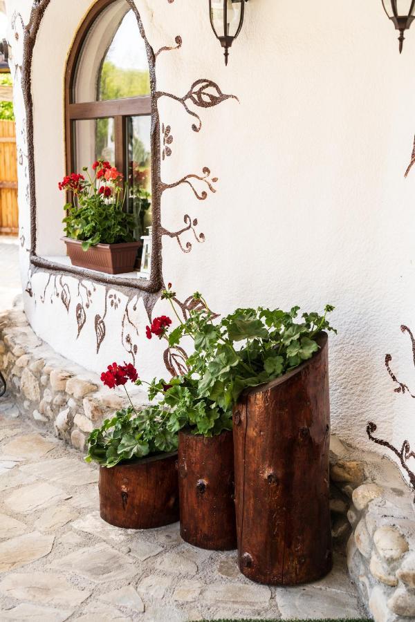 Satul Cu Flori Hotel Бузау Екстериор снимка